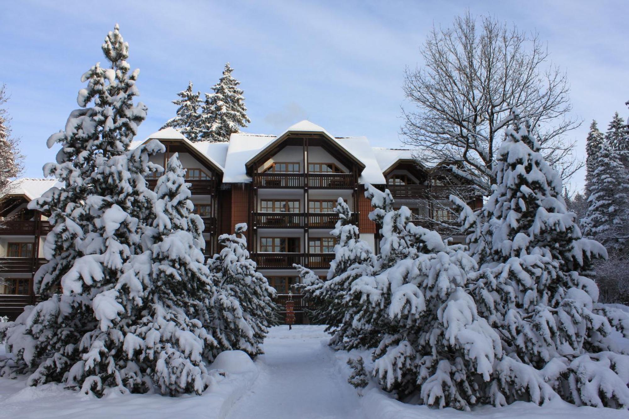 Hapimag Ferienwohnungen Braunlage Εξωτερικό φωτογραφία